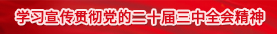 学习宣传贯彻党的二十届三中全会精神